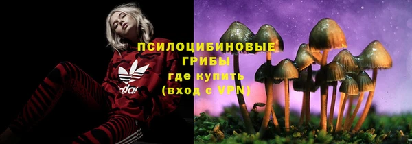 2c-b Балахна